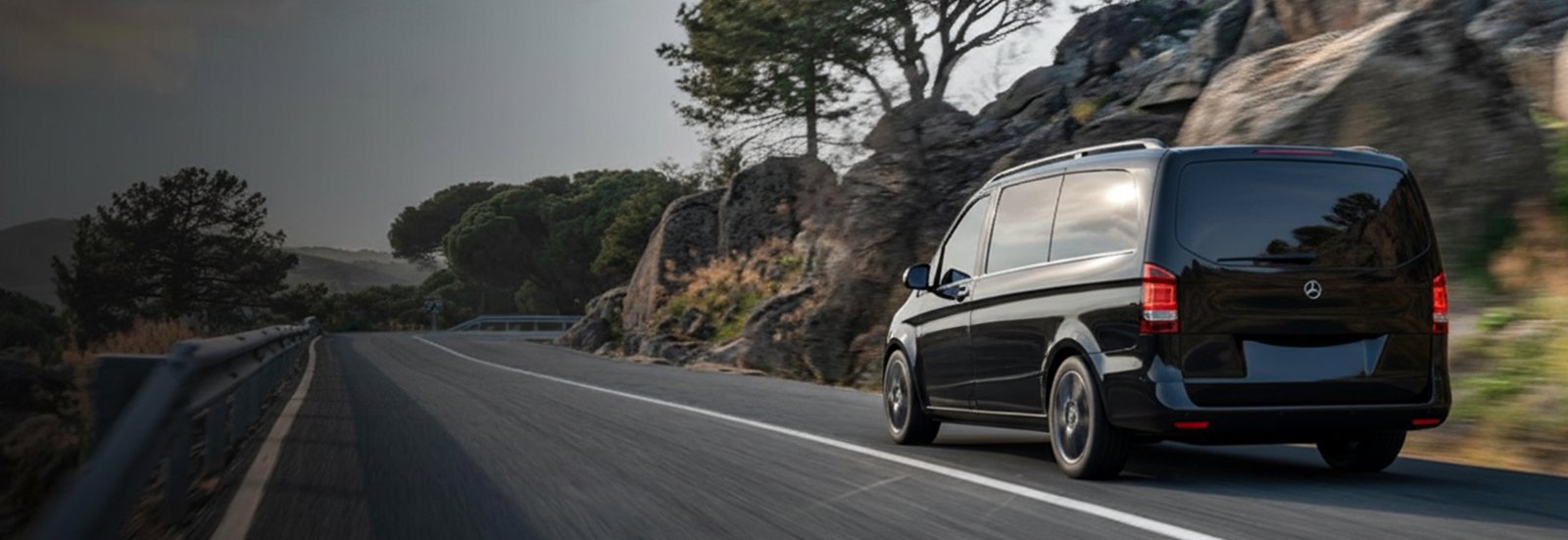 Vorarlberg airport premium chauffeur service - Professional chauffeurs